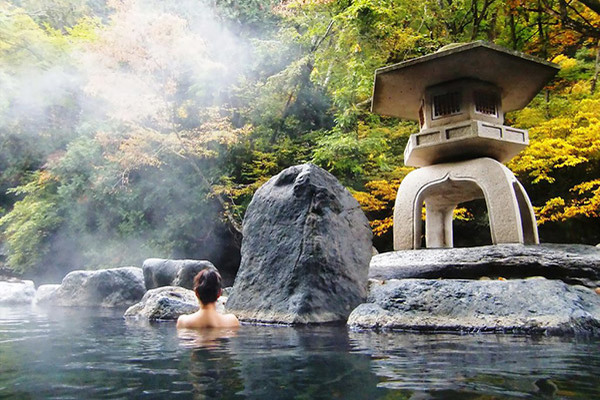 NARITA - YAMANASHI   FUJI - TOKYO